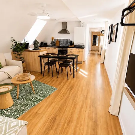 Apartman Atypique, Hyper-centre Avec Ascenseur Metz