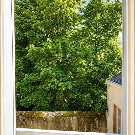 Atypique, Hyper-centre Avec Ascenseur